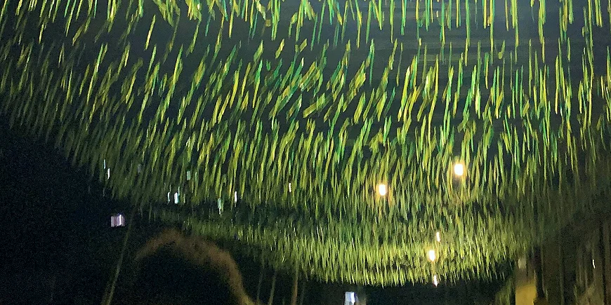比分落后之后的二十分钟：一支球队的三种反应·档案室胶片